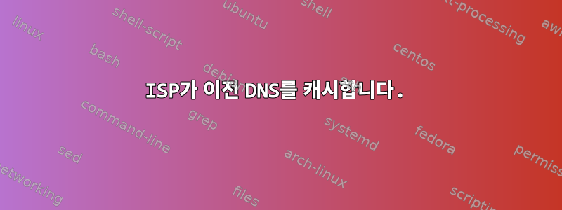 ISP가 이전 DNS를 캐시합니다.