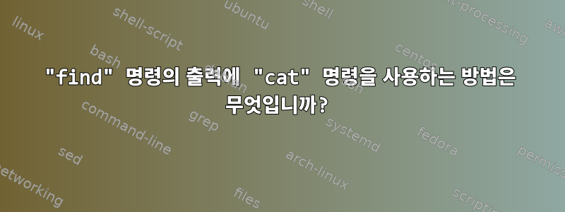 "find" 명령의 출력에 "cat" 명령을 사용하는 방법은 무엇입니까?