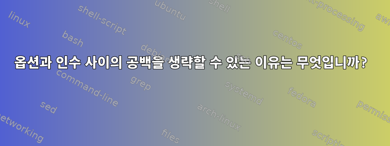 옵션과 인수 사이의 공백을 생략할 수 있는 이유는 무엇입니까?