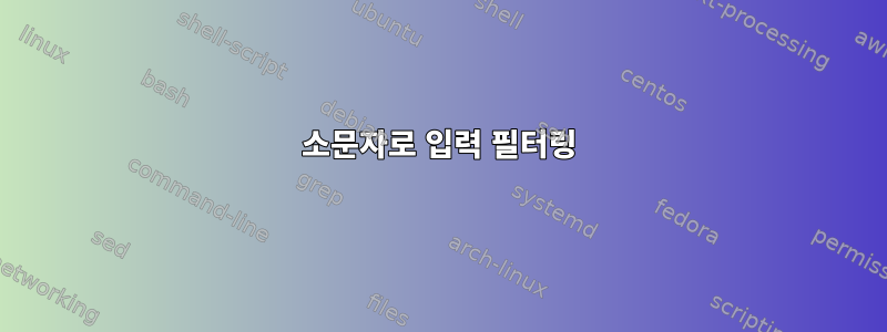 소문자로 입력 필터링