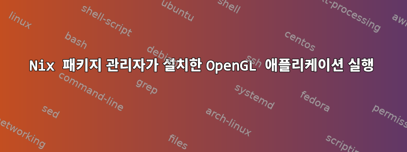 Nix 패키지 관리자가 설치한 OpenGL 애플리케이션 실행