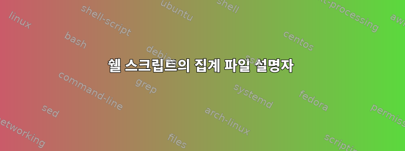 쉘 스크립트의 집계 파일 설명자