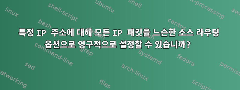 특정 IP 주소에 대해 모든 IP 패킷을 느슨한 소스 라우팅 옵션으로 영구적으로 설정할 수 있습니까?