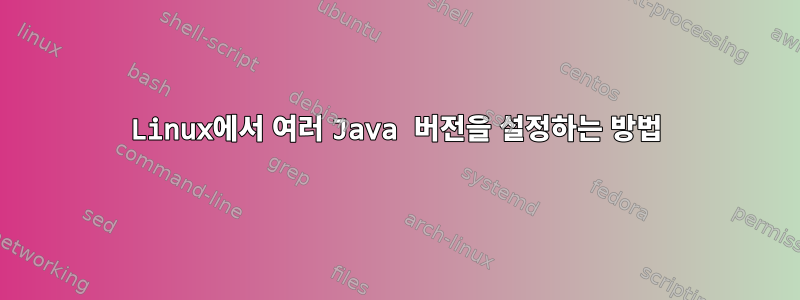 Linux에서 여러 Java 버전을 설정하는 방법