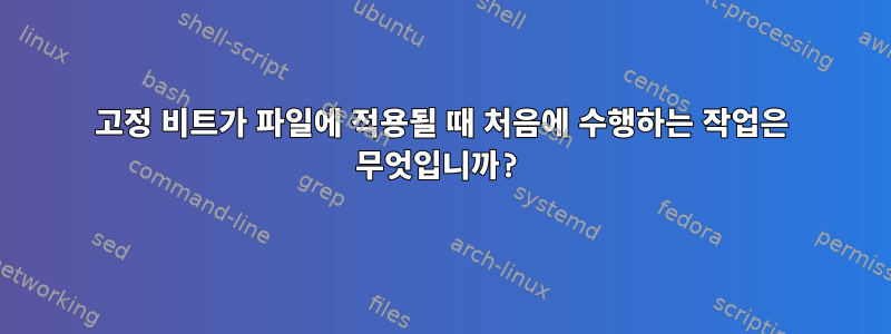 고정 비트가 파일에 적용될 때 처음에 수행하는 작업은 무엇입니까?