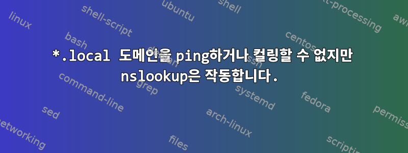 *.local 도메인을 ping하거나 컬링할 수 없지만 nslookup은 작동합니다.