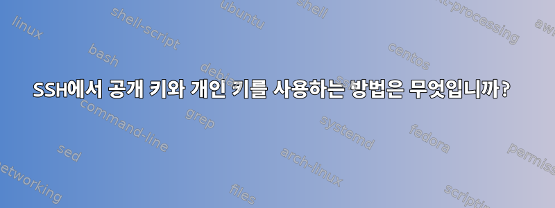 SSH에서 공개 키와 개인 키를 사용하는 방법은 무엇입니까?