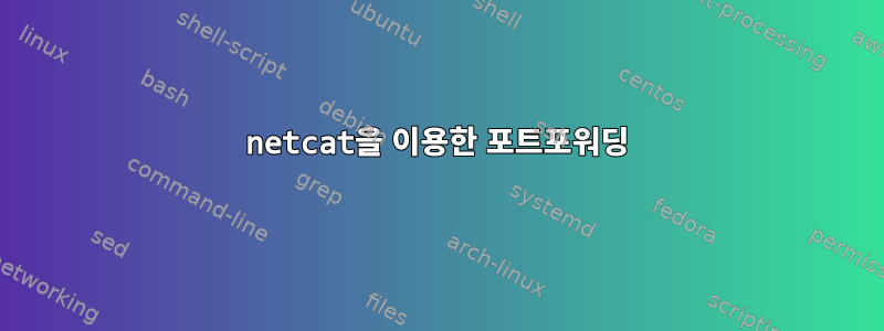 netcat을 이용한 포트포워딩