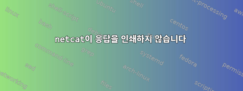 netcat이 응답을 인쇄하지 않습니다