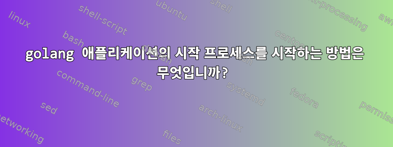 golang 애플리케이션의 시작 프로세스를 시작하는 방법은 무엇입니까?