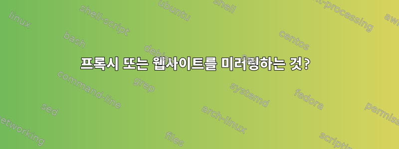 프록시 또는 웹사이트를 미러링하는 것?