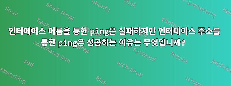 인터페이스 이름을 통한 ping은 실패하지만 인터페이스 주소를 통한 ping은 성공하는 이유는 무엇입니까?