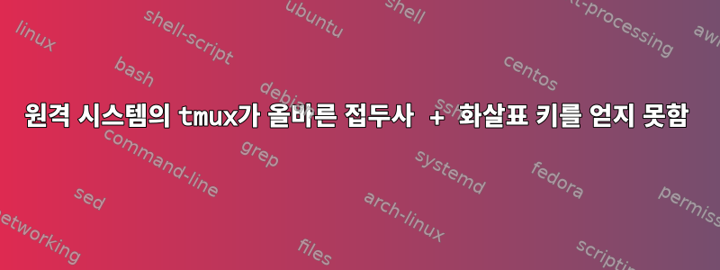 원격 시스템의 tmux가 올바른 접두사 + 화살표 키를 얻지 못함