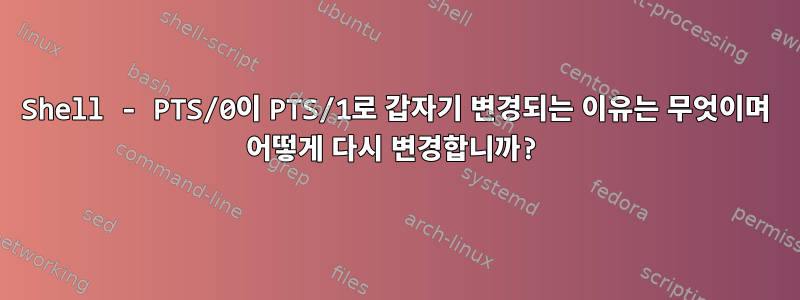 Shell - PTS/0이 PTS/1로 갑자기 변경되는 이유는 무엇이며 어떻게 다시 변경합니까?