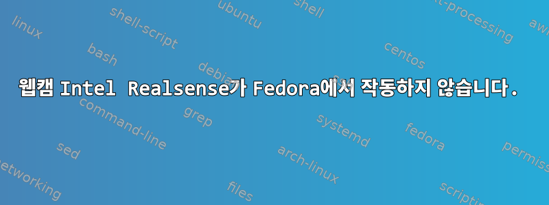 웹캠 Intel Realsense가 Fedora에서 작동하지 않습니다.