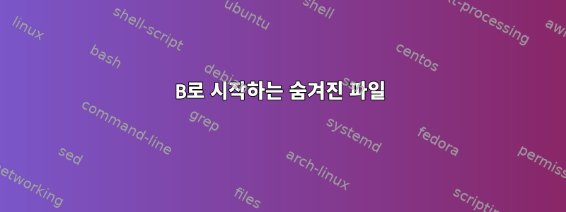 B로 시작하는 숨겨진 파일