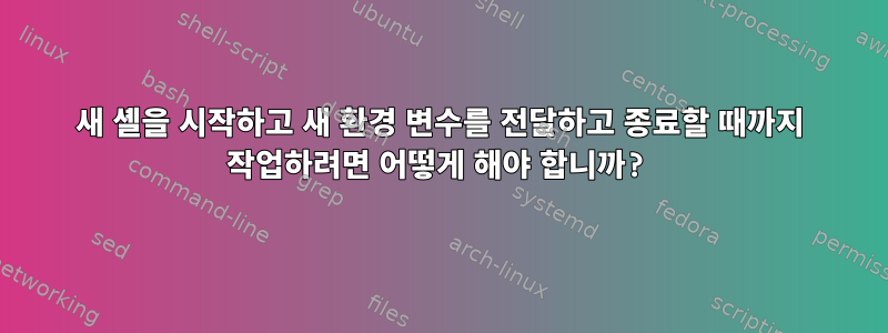 새 셸을 시작하고 새 환경 변수를 전달하고 종료할 때까지 작업하려면 어떻게 해야 합니까?