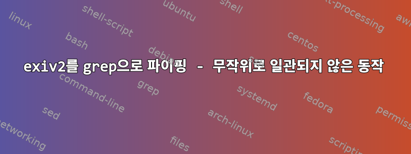 exiv2를 grep으로 파이핑 - 무작위로 일관되지 않은 동작