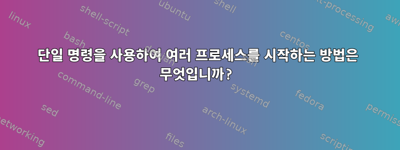 단일 명령을 사용하여 여러 프로세스를 시작하는 방법은 무엇입니까?