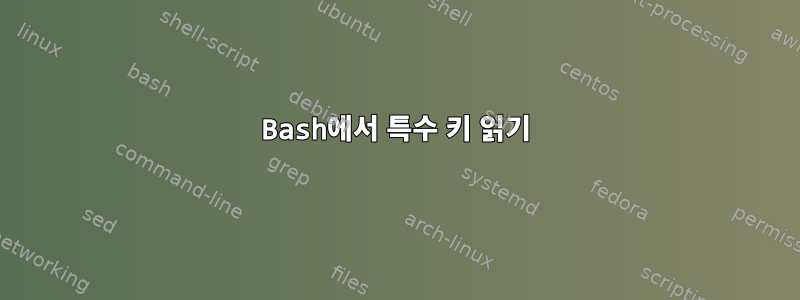 Bash에서 특수 키 읽기