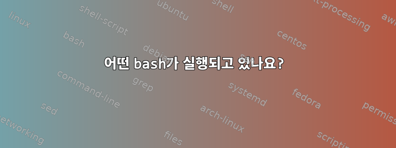 어떤 bash가 실행되고 있나요?