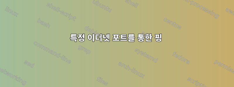 특정 이더넷 포트를 통한 핑