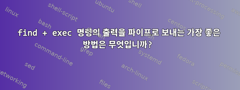 find + exec 명령의 출력을 파이프로 보내는 가장 좋은 방법은 무엇입니까?