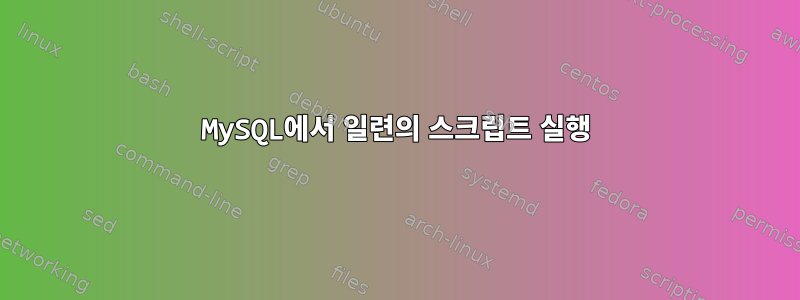 MySQL에서 일련의 스크립트 실행