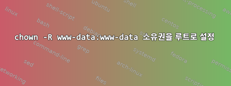 chown -R www-data:www-data 소유권을 루트로 설정