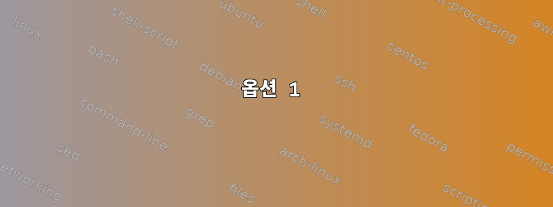 옵션 1