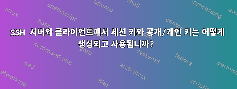 SSH 서버와 클라이언트에서 세션 키와 공개/개인 키는 어떻게 생성되고 사용됩니까?