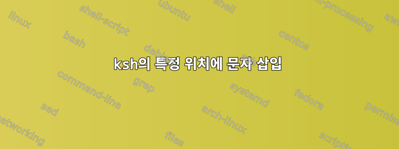 ksh의 특정 위치에 문자 삽입