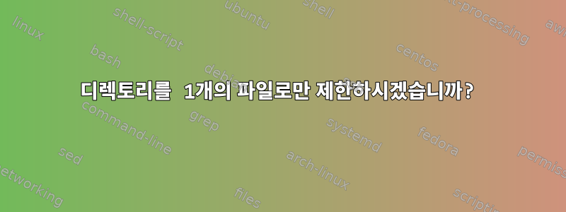 디렉토리를 1개의 파일로만 제한하시겠습니까?