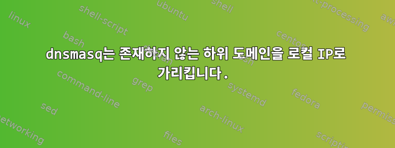 dnsmasq는 존재하지 않는 하위 도메인을 로컬 IP로 가리킵니다.