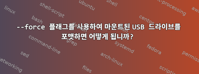 --force 플래그를 사용하여 마운트된 USB 드라이브를 포맷하면 어떻게 됩니까?