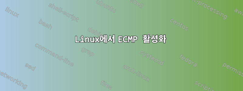 Linux에서 ECMP 활성화