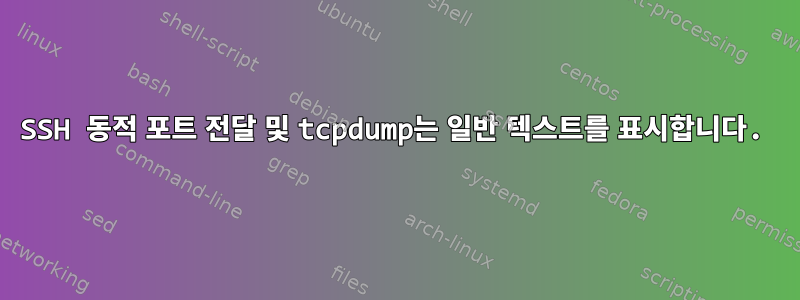 SSH 동적 포트 전달 및 tcpdump는 일반 텍스트를 표시합니다.