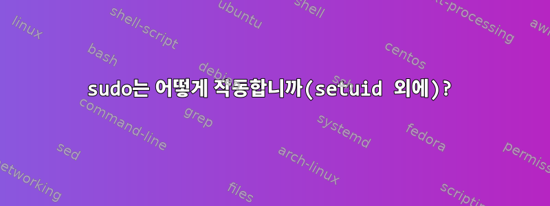 sudo는 어떻게 작동합니까(setuid 외에)?