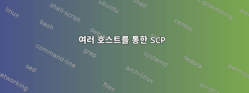 여러 호스트를 통한 SCP