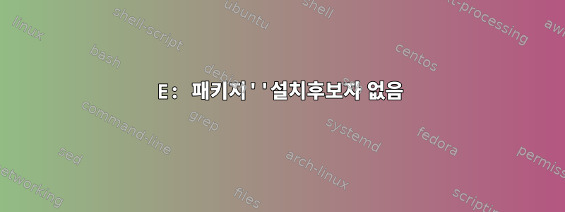 E: 패키지''설치후보자 없음