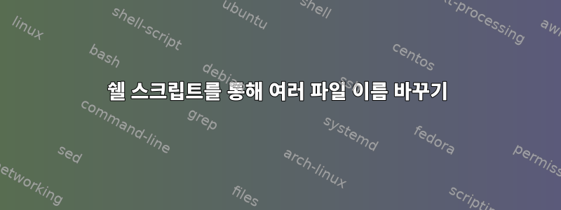 쉘 스크립트를 통해 여러 파일 이름 바꾸기