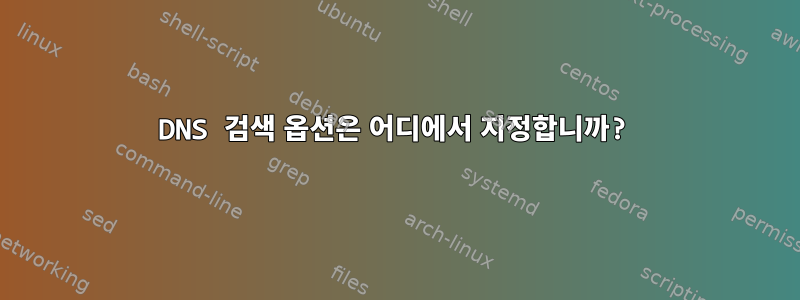 DNS 검색 옵션은 어디에서 지정합니까?