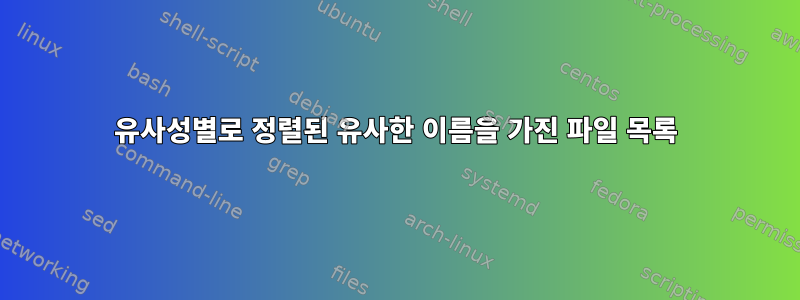 유사성별로 정렬된 유사한 이름을 가진 파일 목록