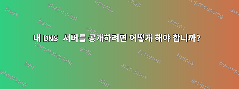 내 DNS 서버를 공개하려면 어떻게 해야 합니까?