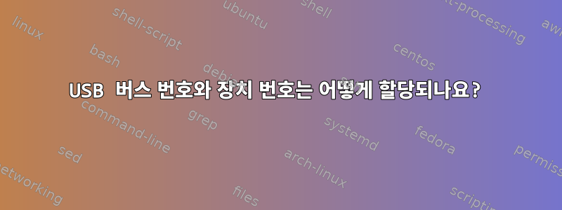 USB 버스 번호와 장치 번호는 어떻게 할당되나요?