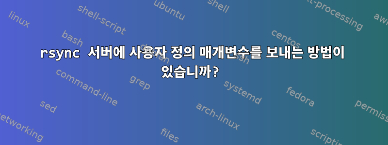 rsync 서버에 사용자 정의 매개변수를 보내는 방법이 있습니까?