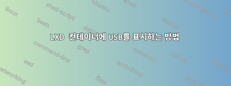 LXD 컨테이너에 USB를 표시하는 방법