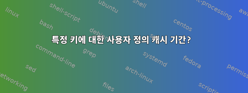 특정 키에 대한 사용자 정의 캐시 기간?