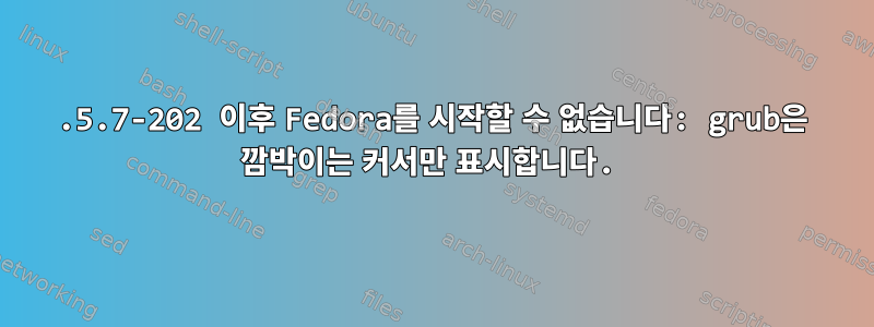 4.5.7-202 이후 Fedora를 시작할 수 없습니다: grub은 깜박이는 커서만 표시합니다.