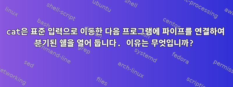 cat은 표준 입력으로 이동한 다음 프로그램에 파이프를 연결하여 분기된 쉘을 열어 둡니다. 이유는 무엇입니까?